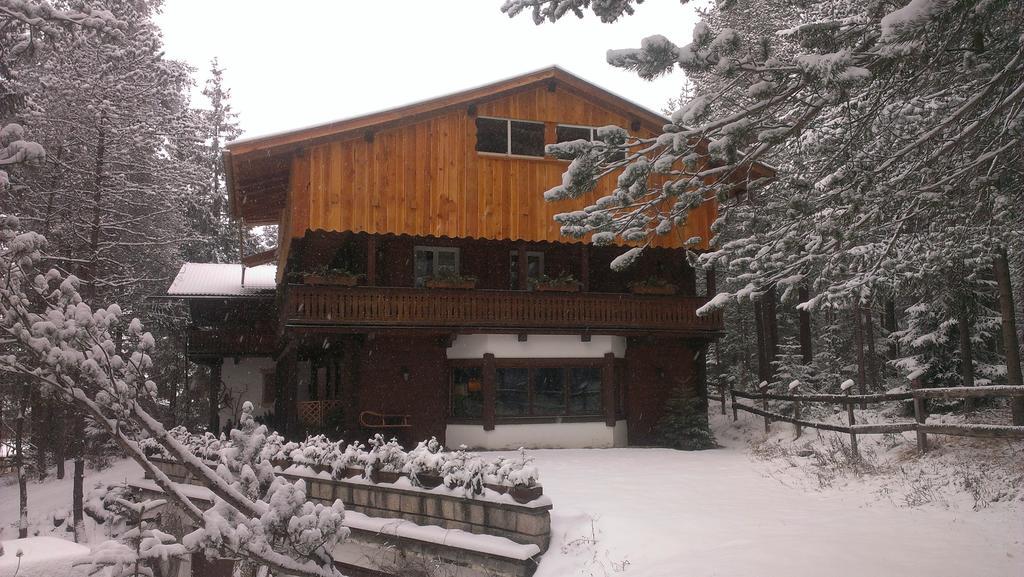 B&B Villa Dolomites Hut San Vigilio Di Marebbe Bagian luar foto