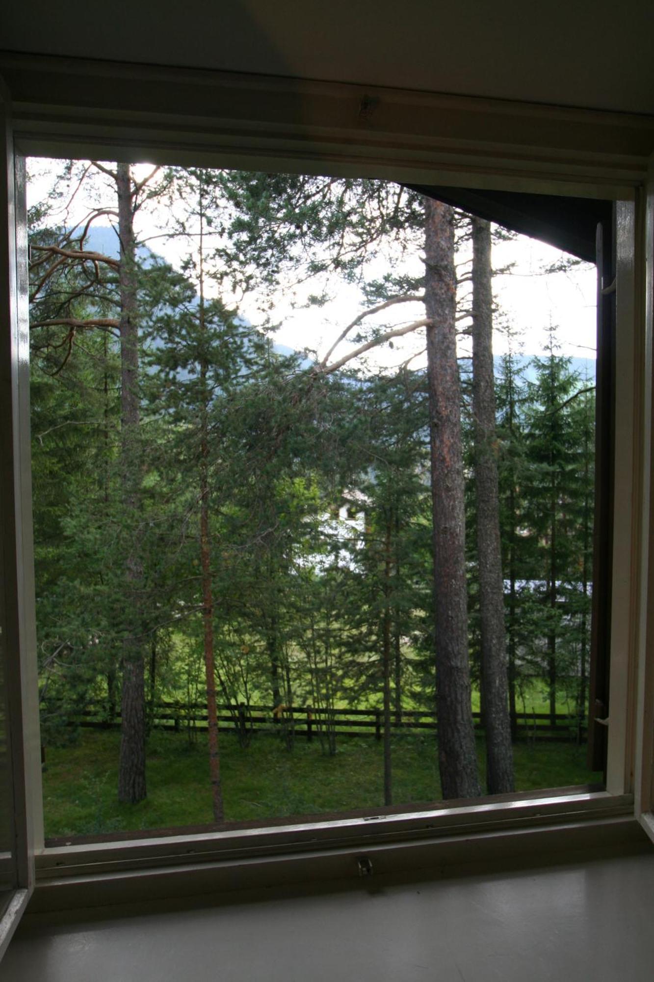 B&B Villa Dolomites Hut San Vigilio Di Marebbe Ruang foto