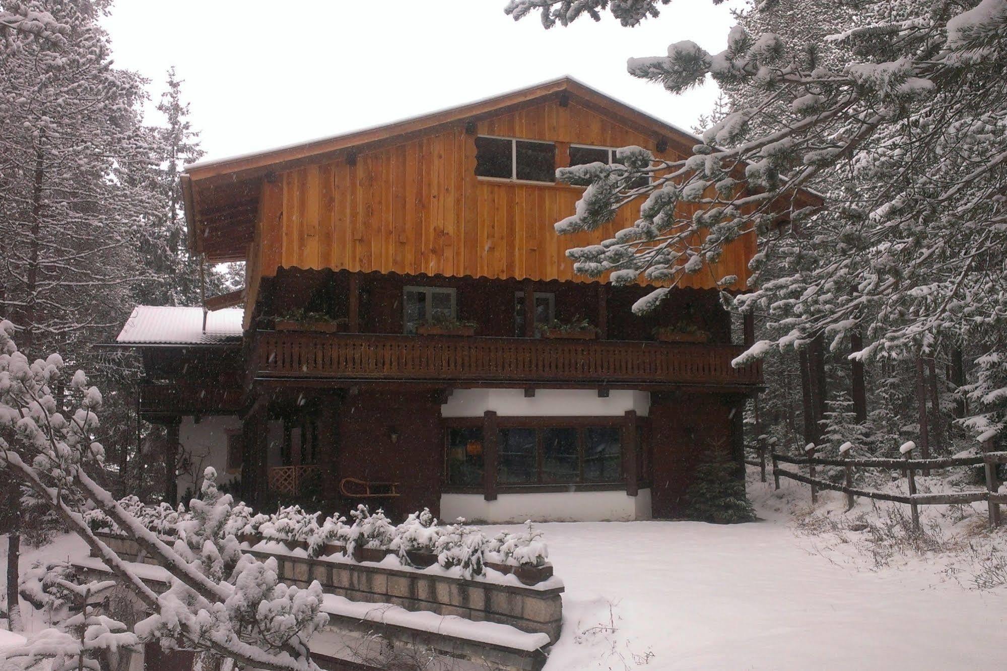 B&B Villa Dolomites Hut San Vigilio Di Marebbe Bagian luar foto